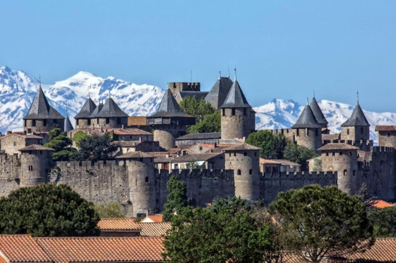 Appartement Proche Cite Medievale Et Centre Ville - Parking Prive Carcassonne Ngoại thất bức ảnh